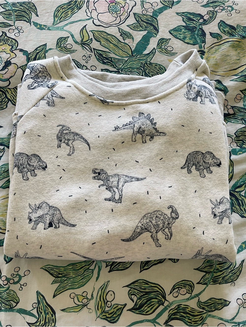 Womenβs Grey Dinosaur Print Crew Sweatshirt